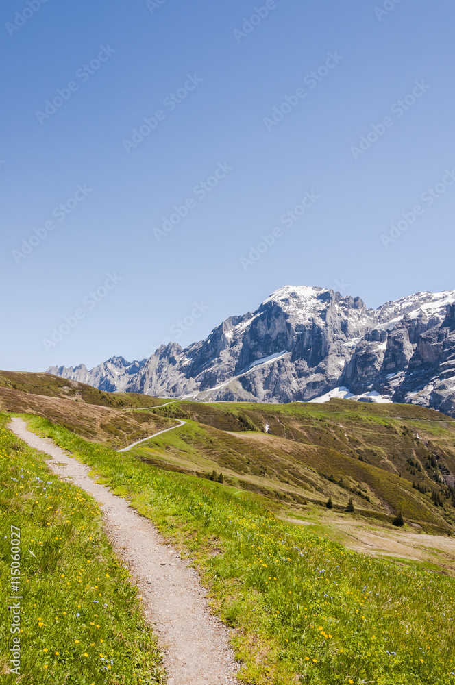 Grindelwald, Berner Oberland, Grosse Scheidegg, Engelhörner, Alpen, Wanderweg, Höhenweg, Schweizer Berge, Sommer, Schweiz
