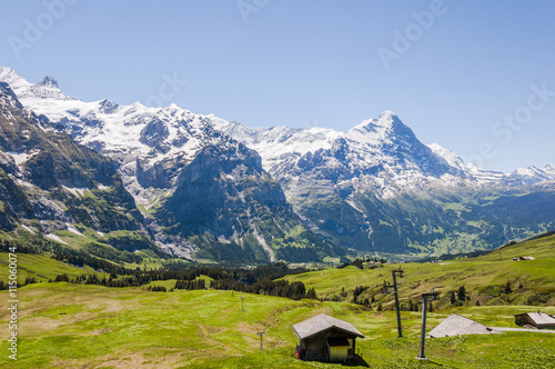 Grindelwald, Berner Oberland, Alpen, Eiger, Schreckhorn, First, Wanderweg, Schreckfeld, Alm, Schweizer Berge, Sommer, Schweiz
