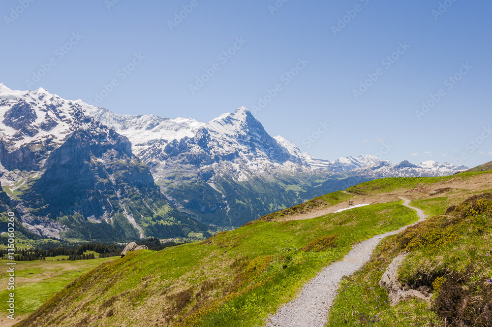Grindelwald, Dorf, Berner Oberland, Eiger, Eigernordwand, Grindelwaldgletscher, First, Wanderweg, Alpen, Schweizer Berge, Sommer, Schweiz