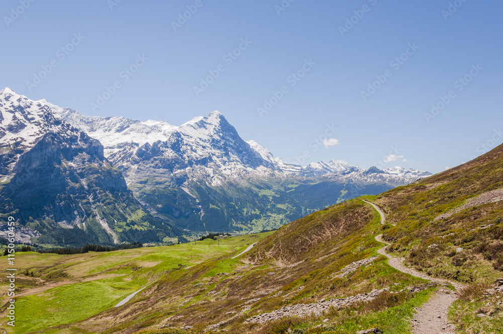 Grindelwald, Berner Oberland, Alpen, Eiger, Eigernordwand, Gletscher, Wanderweg, First, Sommer, Schweiz