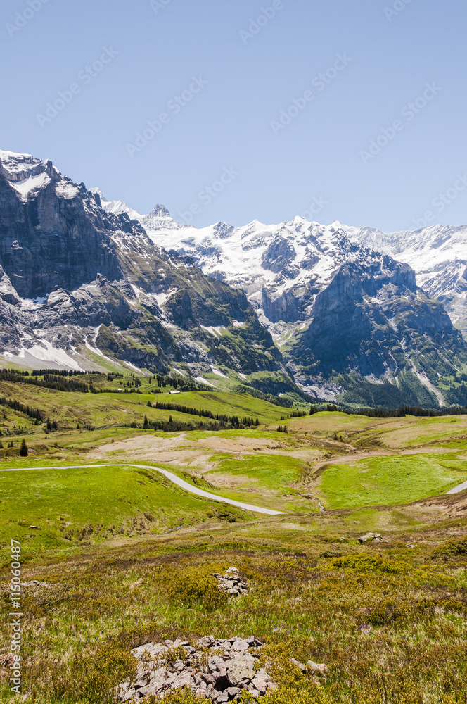 Grindelwald, Berner Oberland, Alpen, Schweizer Berge, Grosse Scheidegg, Schreckhorn, Schreckfeld, Wanderweg, Sommer, Schweiz