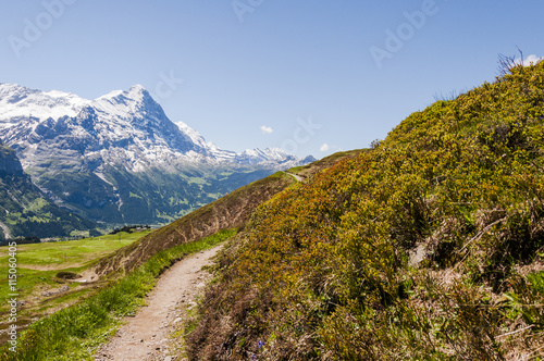 Grindelwald, Alpen, Berner Oberland, Eiger, Eigernordwand, Lauberhorn, Kleine Scheidegg, First. Wanderweg, Sommer, Schweiz