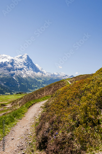 Grindelwald, Bergdorf, Berner Oberland, Eiger, Alpen, Schweizer Berge, Wanderweg, First, Sommer, Schweiz