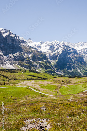 Grindelwald  Berner Oberland  Alpen  Schweizer Berge  Grosse Scheidegg  Schreckhorn  Schreckfeld  Wanderweg  Sommer  Schweiz