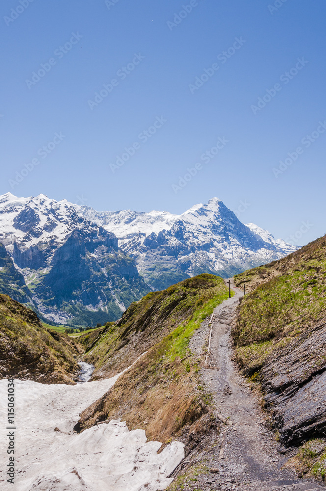 Grindelwald, Berner Oberland, Eiger, Schreckhorn, Kleine Scheidegg, First, Alpen, Höhenweg, Wanderferien, Sommer, Schweiz