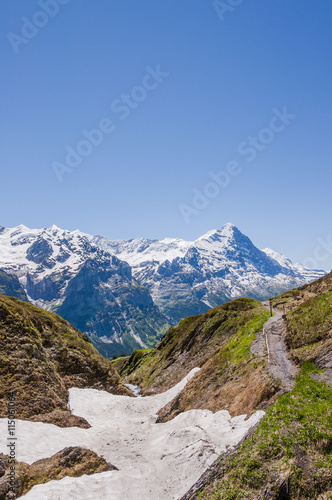 Grindelwald, Berner Oberland, Alpen, Eiger, Eigernordwand, Wanderweg, Höhenweg, First, Grosse Scheidegg, Schweizer Berge, Sommer, Schweiz
