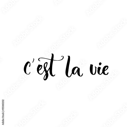 C'est la vie. French phrase means that's life. Brush lettering quote for  fashion clothes and cards.