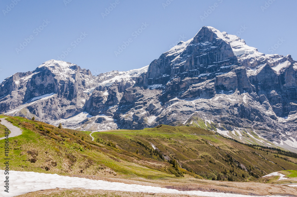Grindelwald, Berner Oberland, Grosse Scheidegg, Wetterhorn, Engelhörner, Alpen, Schweizer Berge, Wanderweg, Wanderferien, Sommer, Schweiz