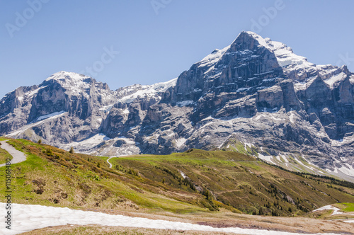 Grindelwald, Berner Oberland, Grosse Scheidegg, Wetterhorn, Engelhörner, Alpen, Schweizer Berge, Wanderweg, Wanderferien, Sommer, Schweiz