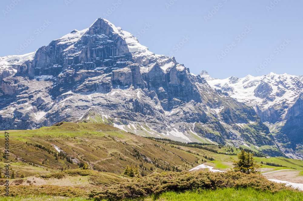 Grindelwald, Berner Oberland, Alpen, Schweizer Berge, Wetterhorn, Grosse Scheidegg, Grindelwaldgletscher, Wanderweg, Wanderferien, Sommer, Schweiz