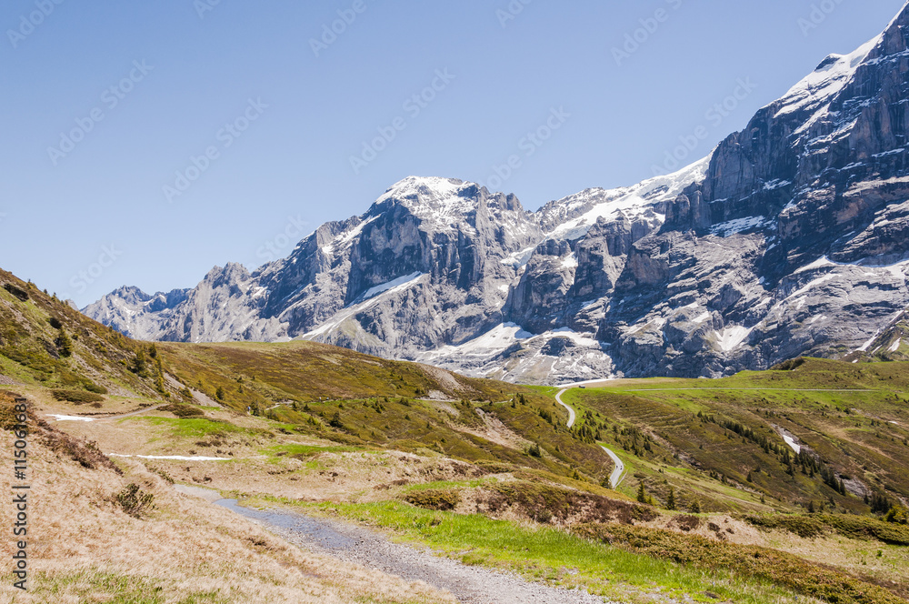Grindelwald, Berner Oberland, Alpen, Engelhörner, Wetterhorn, Grosse Scheidegg, Wanderweg, Höhenweg, Schweizer Berge, Sommer, Schweiz