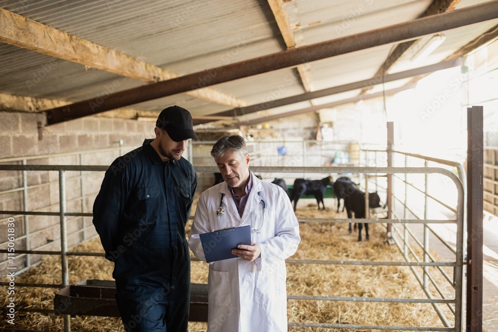 Vet explaining farmer by fence Vet explaining farmer by fence