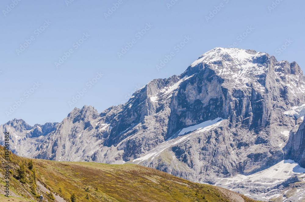 Fototapeta premium Grindelwald, Berner Oberland, Grosse Scheidegg, Engelhörner, Wetterhorn, Alpen, Wanderweg, Höhenweg, Sommer, Schweiz