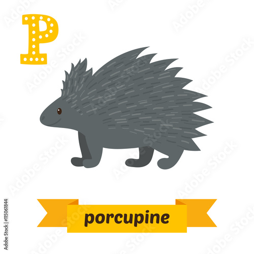 Porcupine. P letter. Cute children animal alphabet in vector. Fu