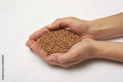 buckwheat grain in hands