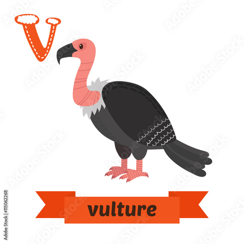 Vulture. V letter. Cute children animal alphabet in vector. Funn