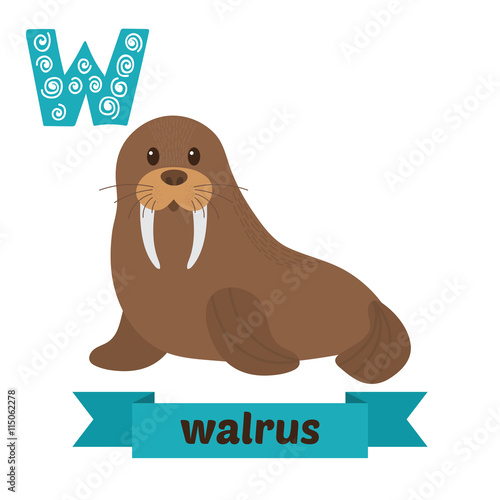 Walrus. W letter. Cute children animal alphabet in vector. Funny