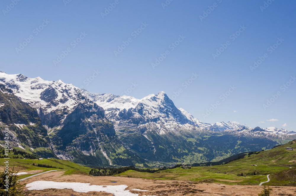 Grindelwald, Berner Oberland, Eiger, Eigernordwand, Schreckhorn, Kleine Scheidegg, First, Wanderweg, Grosse Scheidegg, Alpen, Sommer, Schweiz
