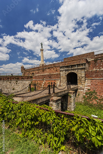 Obraz na płótnie Belgrade fortress and victor monument w salonie