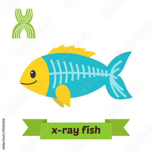 X-ray fish. X letter. Cute children animal alphabet in vector. F