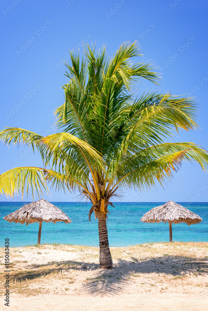 Straw umbrella and palm tree on a beautiful tropical beach