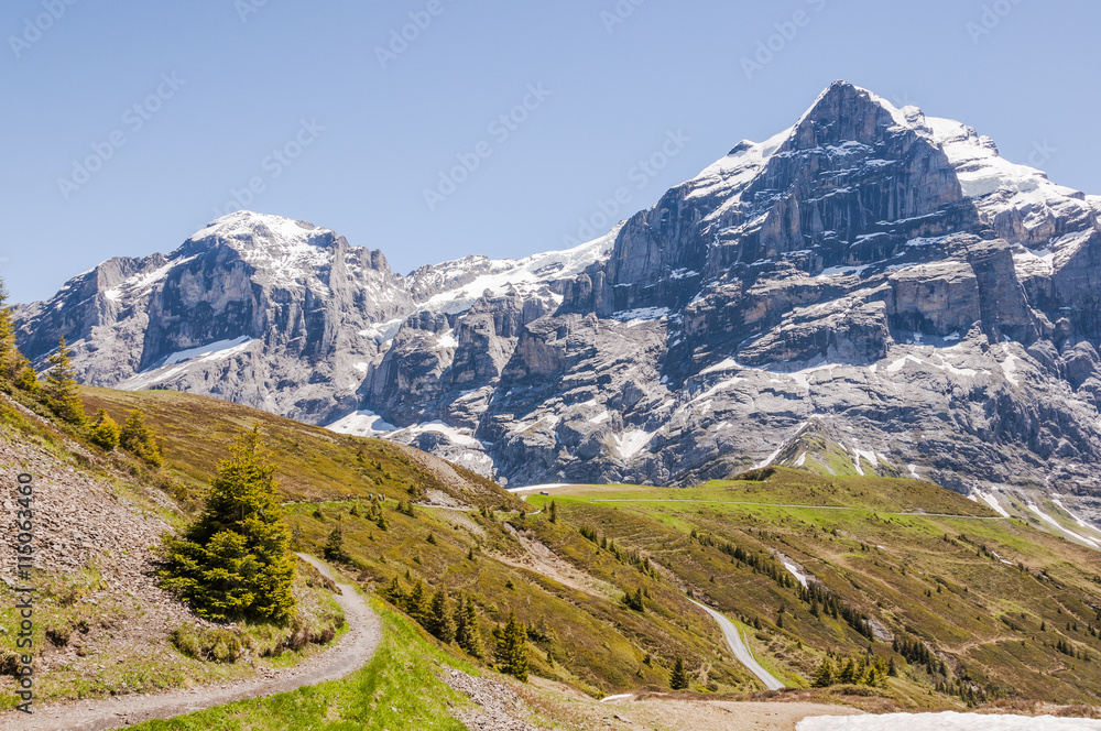 Grindelwald, Berner Oberland, Alpen, Grosse Scheidegg, Wetterhorn, Engelhörner, Wanderweg, Wanderferien, First, Sommer, Schweiz