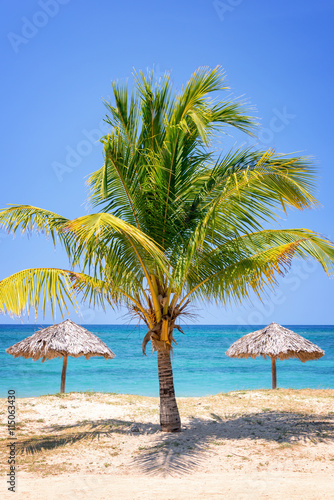Canvas Print Straw umbrella and palm tree on a beautiful tropical beach