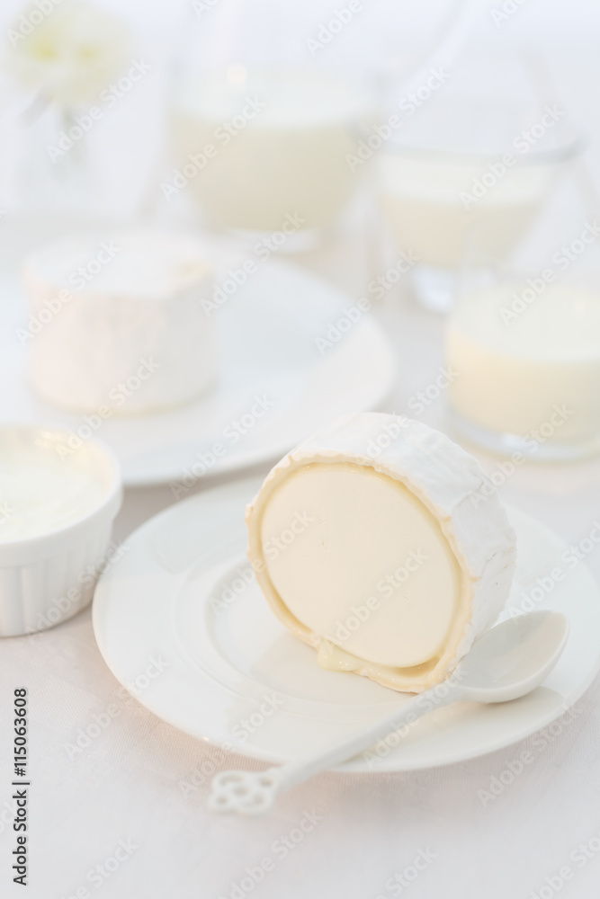 a piece of goat cheese on a white plate. Photo dairy product in a light key. still life in white. a traditional French product product a piece of goat cheese on a white plate. Photo dairy product in a light key. still life in white. a traditional French product product