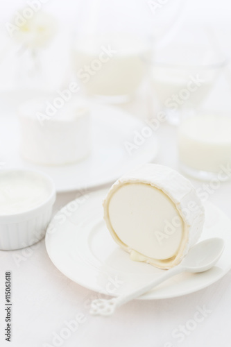 a piece of goat cheese on a white plate. Photo dairy product in a light key. still life in white. a traditional French product product
