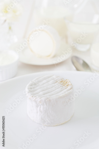 a piece of goat cheese on a white plate. Photo dairy product in a light key. still life in white.