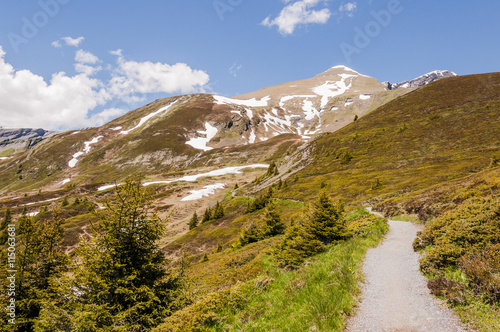 Grindelwald, Berner Oberland, First, Höhenweg, Wanderweg, Grosse Scheidegg, Schwarzhorn, Alpen, Schweizer Berge, Sommer, Schweiz