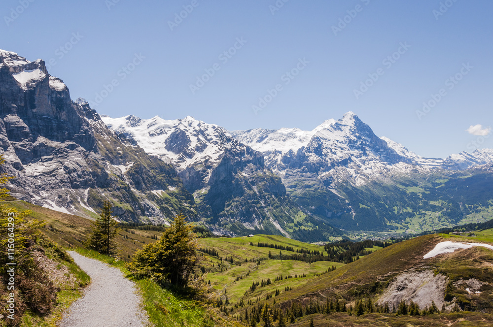 Grindelwald, Berner Oberland, Alpen, Grosse Scheidegg, Höhenweg, Eiger, Schreckhorn, Wetterhorn, First, Lauberhorn, Sommer, Schweiz