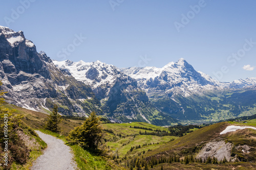 Grindelwald, Berner Oberland, Alpen, Grosse Scheidegg, Höhenweg, Eiger, Schreckhorn, Wetterhorn, First, Lauberhorn, Sommer, Schweiz © bill_17