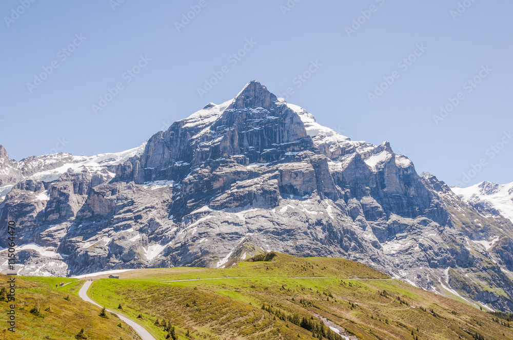 Fototapeta premium Grindelwald, Berner Oberland, Grosse Scheidegg, Wetterhorn, Alpen, Wanderweg, Wanderferien, Schweizer Berge, Sommer, Schweiz