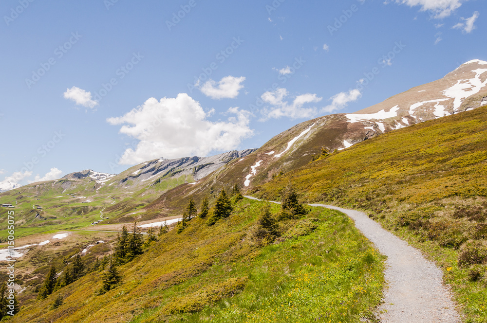 Grindelwald, Bergdorf, First, Alpen, Wanderweg, Höhenweg, Schwarzhorn, Grosse Scheidegg, Schreckfeld, Schweizer Berge, Sommer, Schweiz