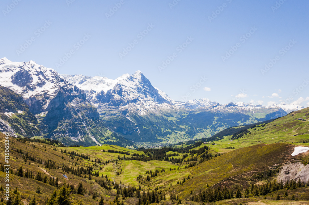 Grindelwald, Berner Oberland, Alpen, Schweizer Berg, Eiger, Schreckhorn, Bergtal, Kleine Scheidegg, Höhenweg, Grosse Scheidegg, Sommer, Schweiz