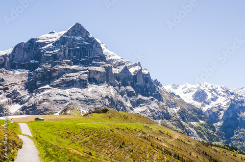 Grindelwald  Berner Oberland  Alpen  Wetterhorn  Grosse Scheidegg  Wanderweg  First  Grindelwaldgletscher  Sommer  Schweiz