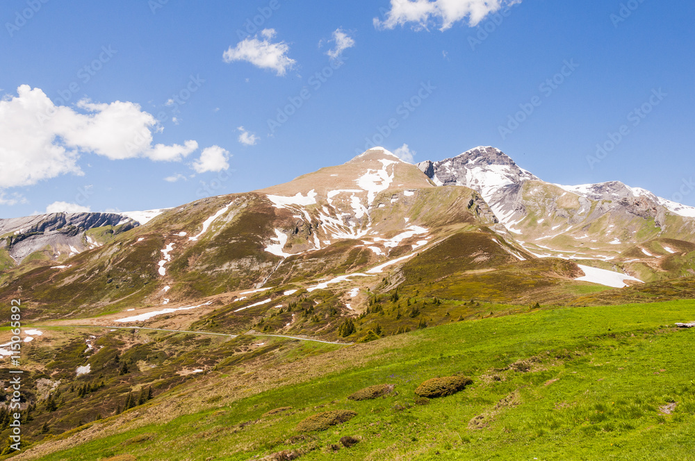 Fototapeta premium Grindelwald, Berner Oberland, Schwarzhorn, First, Alpen, Höhenweg, Wanderweg, Wanderferien, Schweizer Berge, Grosse Scheidegg, Sommer, Schweiz