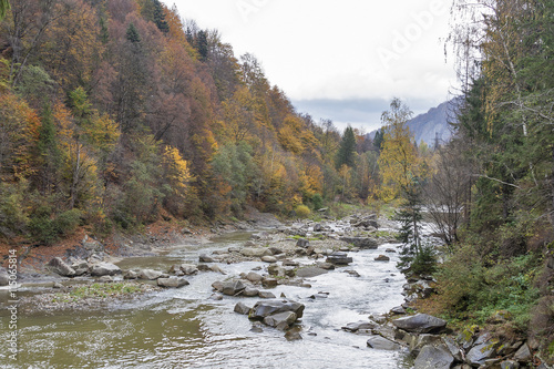 River Prut in autumn  Ukraine.