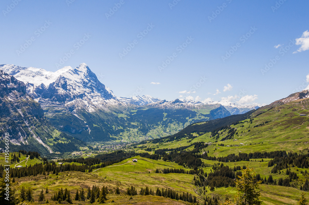 Grindelwald, Berner Oberland, Eiger, Lauberhorn, Kleine Scheidegg, First, Wanderweg, Grosse Scheidegg, Schreckfeld, Alpen, Sommer, Schweiz