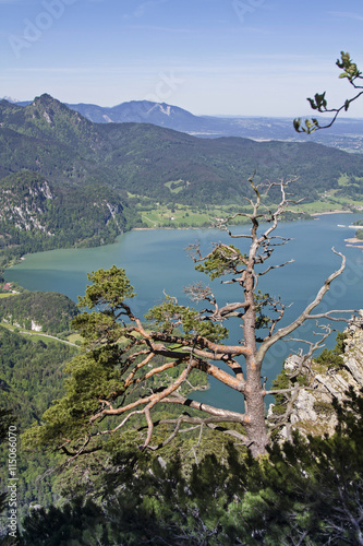 Kochelseeblick photo