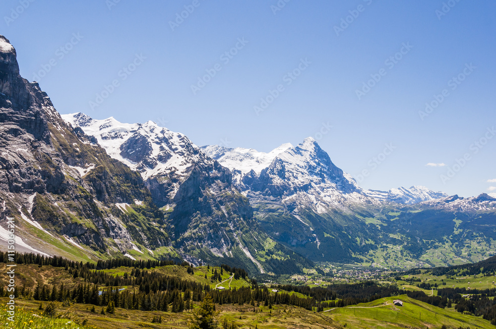Grindelwald, Bergdorf, Grosse Scheidegg, Wanderweg, Höhenweg, First, Eiger, Schreckhorn, Alpen, Bergtal, Schweizer Berge, Sommer, Schweiz