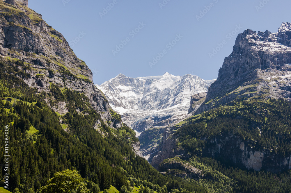 Grindelwald, Bergdorf, Fiescherhörner, Finsteraarhörne, Alpen, Schweizer Berge, Berner Oberland, Grindelwaldgletscher, Gletscher, Wanderweg, Sommer, schweiz