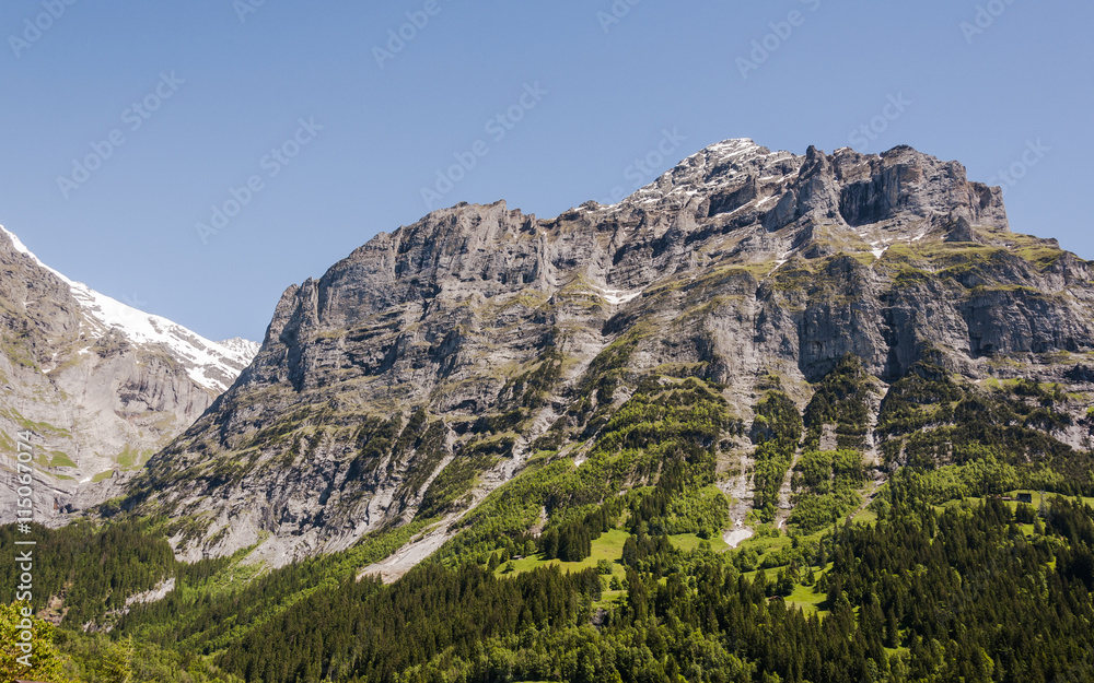Grindelwald, Bergdorf, Alpen, Schreckhorn, Pfingstegg, Berner Oberland, Wanderweg, Grosse Scheidegg, Schweizer Berge, Sommer, Schweiz