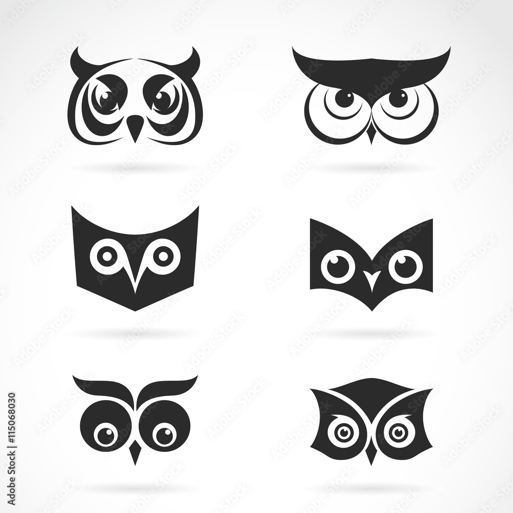 Obraz premium Vector image of an owl face design on white background. Vector o