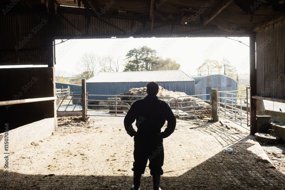 Farm worker standing in barn Farm worker standing in barn
