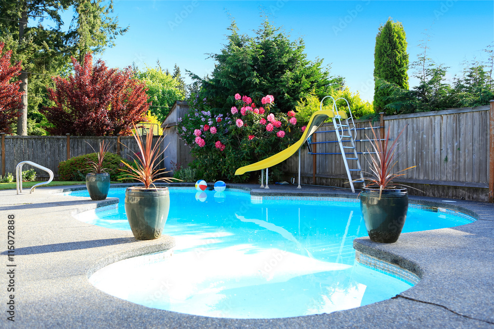 Fenced backyard with small beautiful swimming pool - obrazy, fototapety, plakaty 