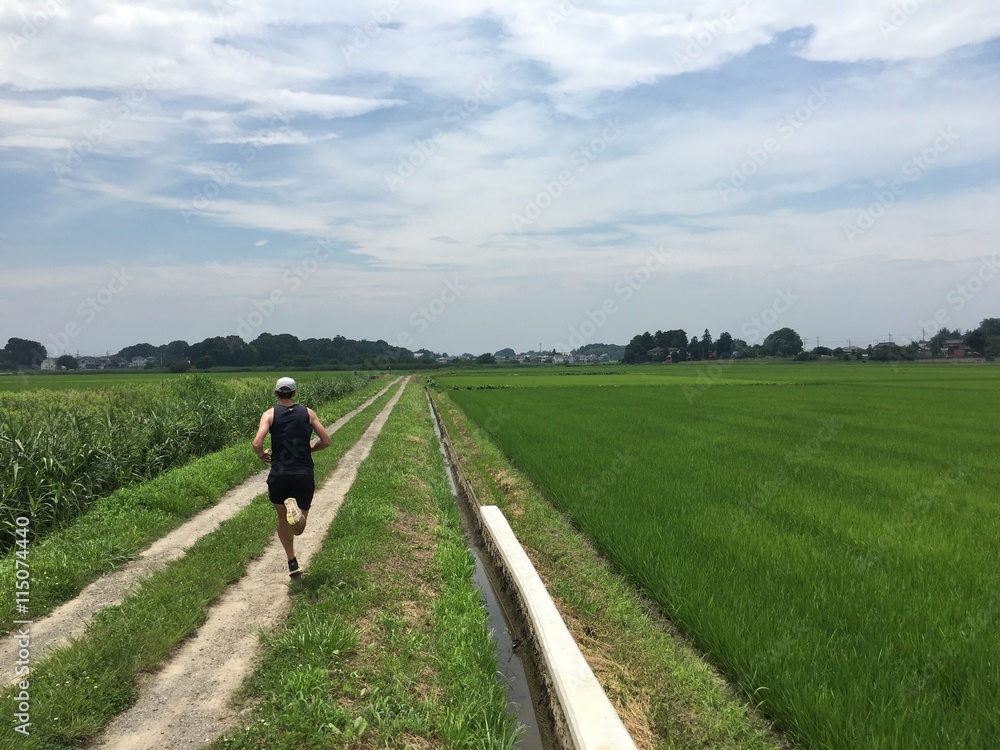 Man running through green rice paddy fields Man running through green rice paddy fields
