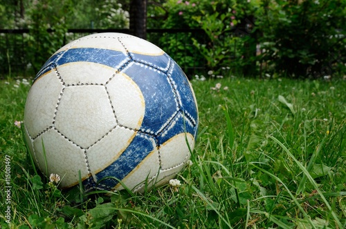 soccer ball in the grass