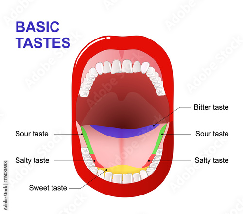 Human tongue